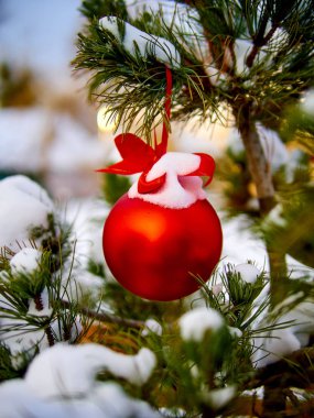 Christmas kırmızı top ve yeşil çam dalı. Noel süsleri.