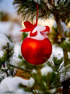 Christmas kırmızı top ve yeşil çam dalı. Noel süsleri.