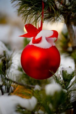 Christmas kırmızı top ve yeşil çam dalı. Noel süsleri.