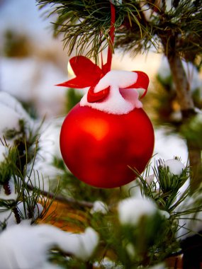 Christmas kırmızı top ve yeşil çam dalı. Noel süsleri.