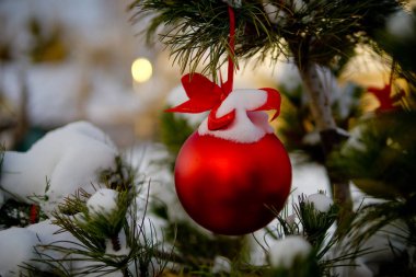 Christmas kırmızı top ve yeşil çam dalı. Noel süsleri.