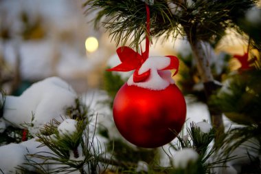 Christmas kırmızı top ve yeşil çam dalı. Noel süsleri.