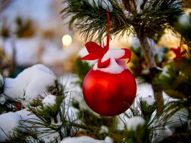 Christmas kırmızı top ve yeşil çam dalı. Noel süsleri.