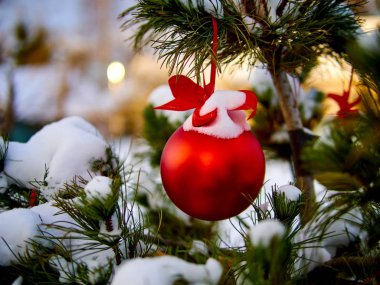 Christmas kırmızı top ve yeşil çam dalı. Noel süsleri.