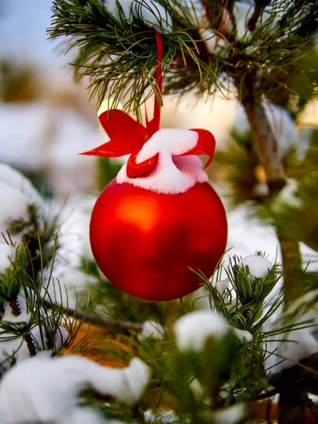 クリスマスの赤ボールとグリーンのスプルースの枝。クリスマスの装飾. — ストック写真