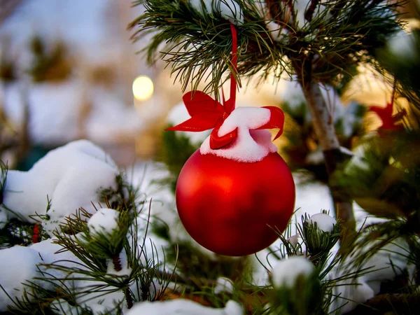 Christmas kırmızı top ve yeşil çam dalı. Noel süsleri.