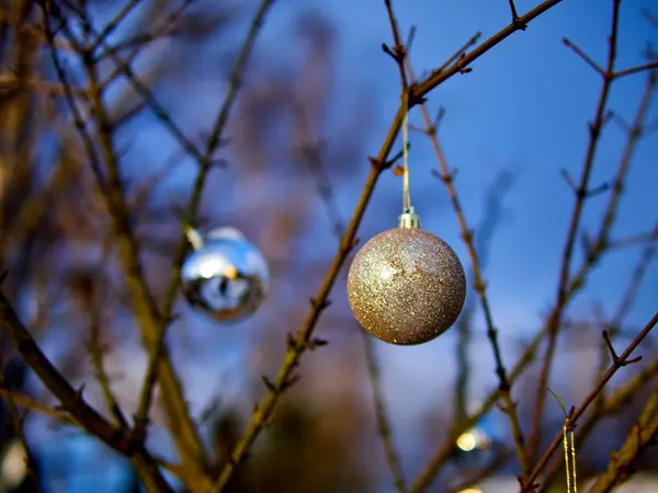 Juleball og grein av trær. Juledekorasjoner. – stockfoto