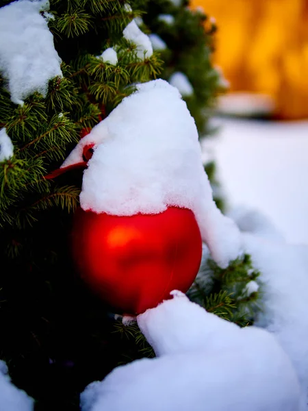 Christmas Red ball and green spruce branch. Christmas decorations. — Stock Photo, Image