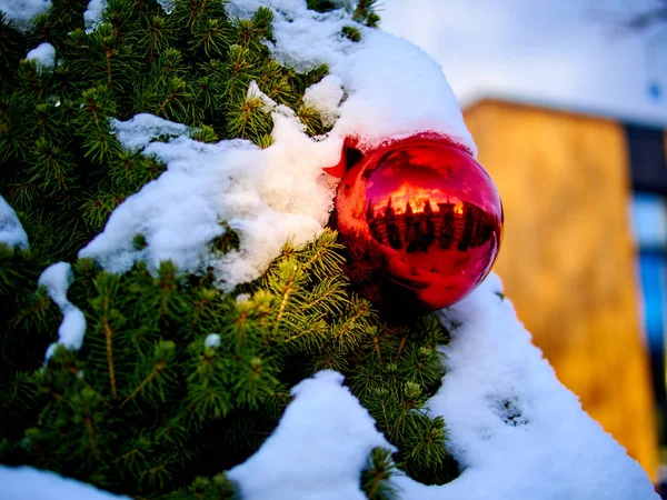 Weihnachtskugel und grüner Fichtenzweig. Weihnachtsdekoration. — Stockfoto