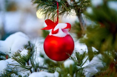 Christmas kırmızı top ve yeşil çam dalı. Noel süsleri.