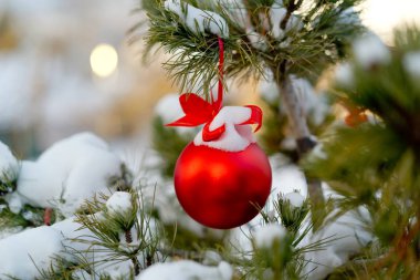 Christmas kırmızı top ve yeşil çam dalı. Noel süsleri.