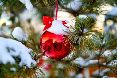 Christmas kırmızı top ve yeşil çam dalı. Noel süsleri.