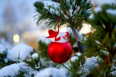 Christmas kırmızı top ve yeşil çam dalı. Noel süsleri.