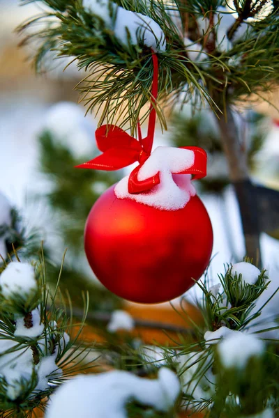 Christmas kırmızı top ve yeşil çam dalı. Noel süsleri.