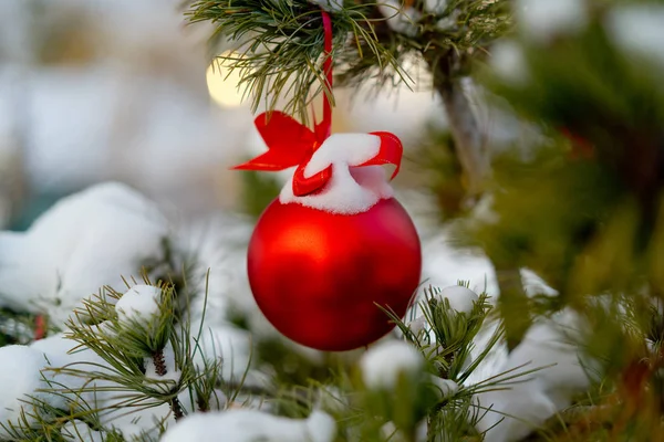 Christmas kırmızı top ve yeşil çam dalı. Noel süsleri.