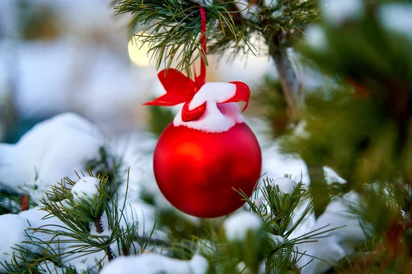 Christmas kırmızı top ve yeşil çam dalı. Noel süsleri.