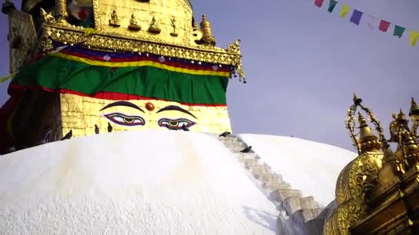 Stupa di Swayambhunath occhio Buddha Kathmandu — Video Stock