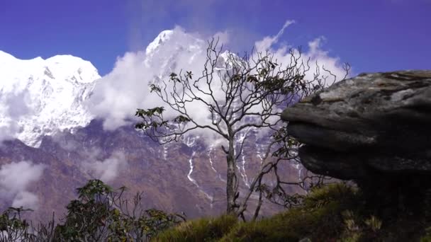 Pico Sur de Annapurna y paso en las montañas del Himalaya, región de Annapurna, Nepal — Vídeos de Stock