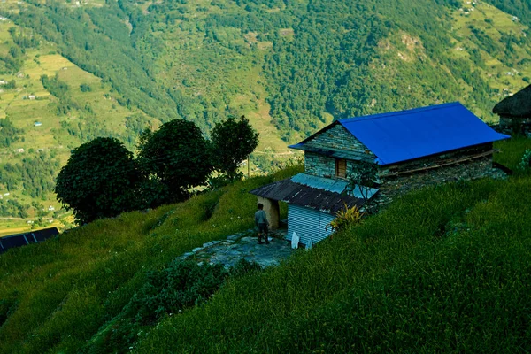 Gipfel und Wald im Himalaya-Gebirge, Annapurna-Region, Nepal — Stockfoto