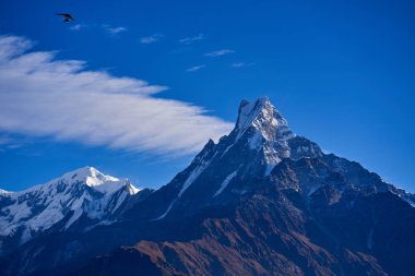 Machapuchare dağın Fishtail Himalayalar aralığı Nepal