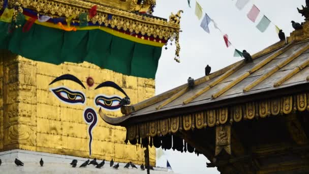 Swayambhunath stupa Ojo de Buda Katmandú — Vídeo de stock