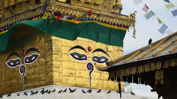 Swayambhunath stupa Oog Boeddha Kathmandu — Stockvideo