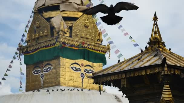 Swayambhunath stupa Oog Boeddha Kathmandu — Stockvideo