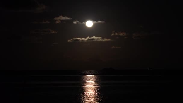 Luna notturna su una spiaggia tropicale — Video Stock