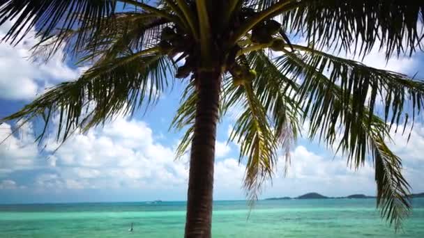 Swing en una playa tropical — Vídeo de stock