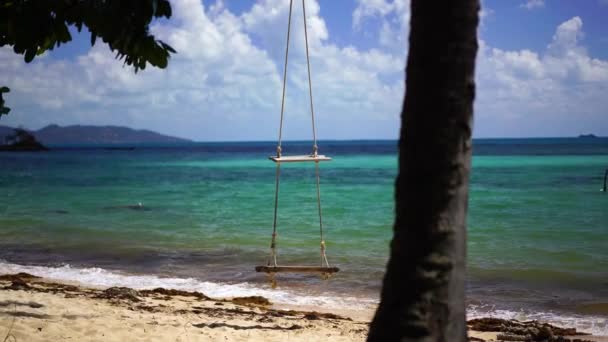 Swing en una playa tropical — Vídeo de stock