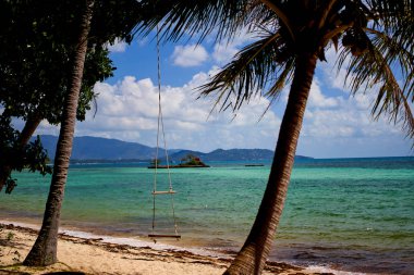 Tayland'da tropikal bir plajda Salıncak