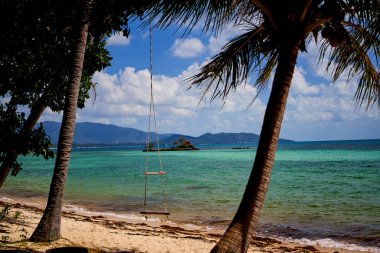 Tayland'da tropikal bir plajda Salıncak