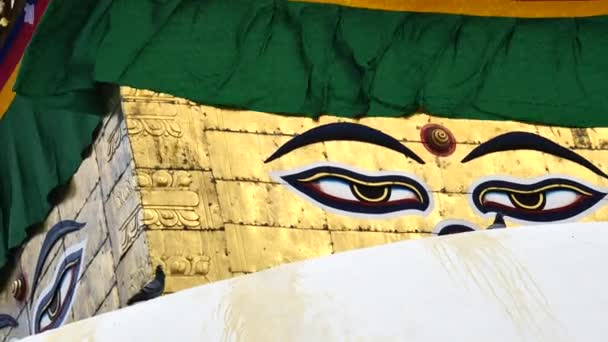 Swayambhunath dumbom Eye Buddha Kathmandu — Stockvideo