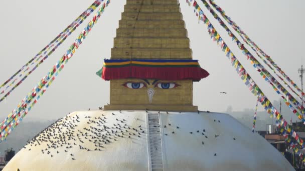 Stupa Bodhnath Katmandou, Népal - 26 octobre 2017 — Video