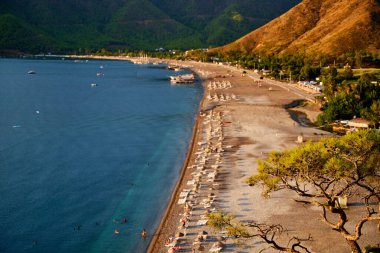 Deniz üzerinde gün doğumu ve mavi deniz zeminli çam ağacı Türkiye