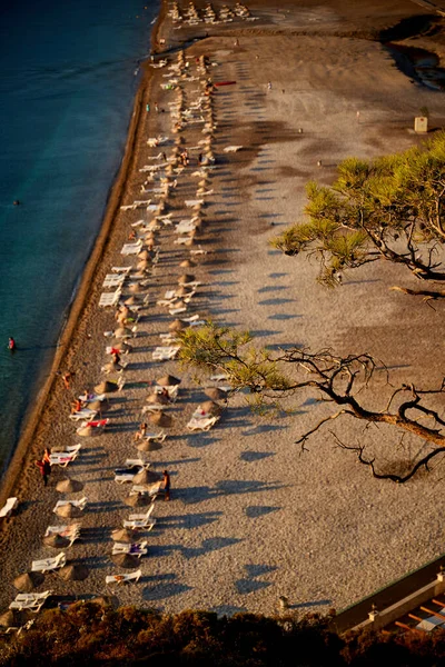 Sonnenaufgang über dem Meer und Kiefer mit blauem Meer Hintergrund Türkei — Stockfoto