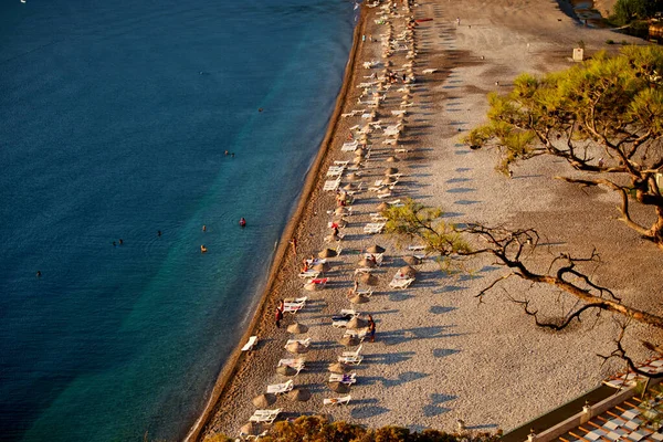 Deniz üzerinde gün doğumu ve mavi deniz zeminli çam ağacı Türkiye — Stok fotoğraf