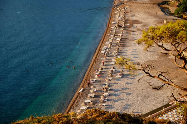 Sonnenaufgang über dem Meer und Kiefer mit blauem Meer Hintergrund Türkei — Stockfoto