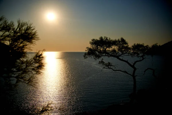 Восход солнца над морем и сосна с голубым морским фоном — стоковое фото