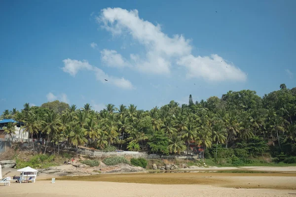 Palmové a oceánské pobřeží s velkými vlnami v Indii — Stock fotografie