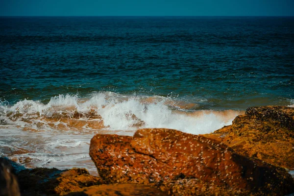 インドの大きな波を持つパーム・オーシャン海岸 — ストック写真
