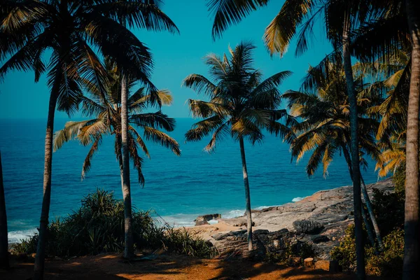 Пальмове і океанське узбережжя з великими хвилями в Індії — стокове фото