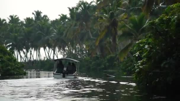 Boot en Palm boom backwater in India Timelapse — Stockvideo