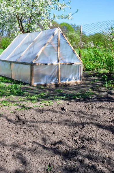 Homemade Small Greenhouse Background Spring Vegetation — Stock Photo, Image