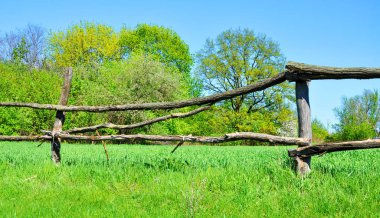 yeşil çim zemin üzerine eski ahşap çit