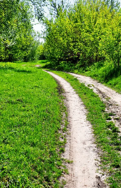 Camino Rural Entre Hierba Verde Brillante — Foto de Stock