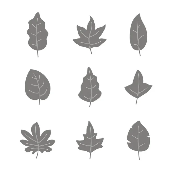 Ensemble Icônes Monochromes Avec Des Feuilles Pour Votre Design — Image vectorielle