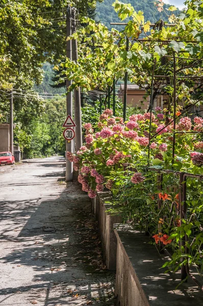 Rural Ulice Pozadí Hor — Stock fotografie