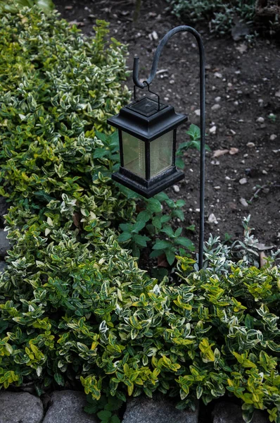 Gartenlampe Die Auf Einem Grünen Blumenbeet Steht Für Ihren Entwurf — Stockfoto