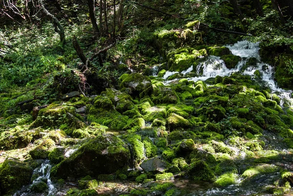 Wasserfall Zwischen Mit Moos Bewachsenen Felsen Für Ihr Design — Stockfoto